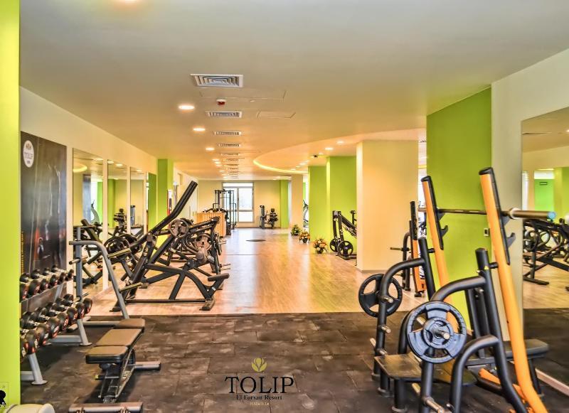 Tolip El Forsan Hotel Ismailia Bagian luar foto The gym at Tulip Inn